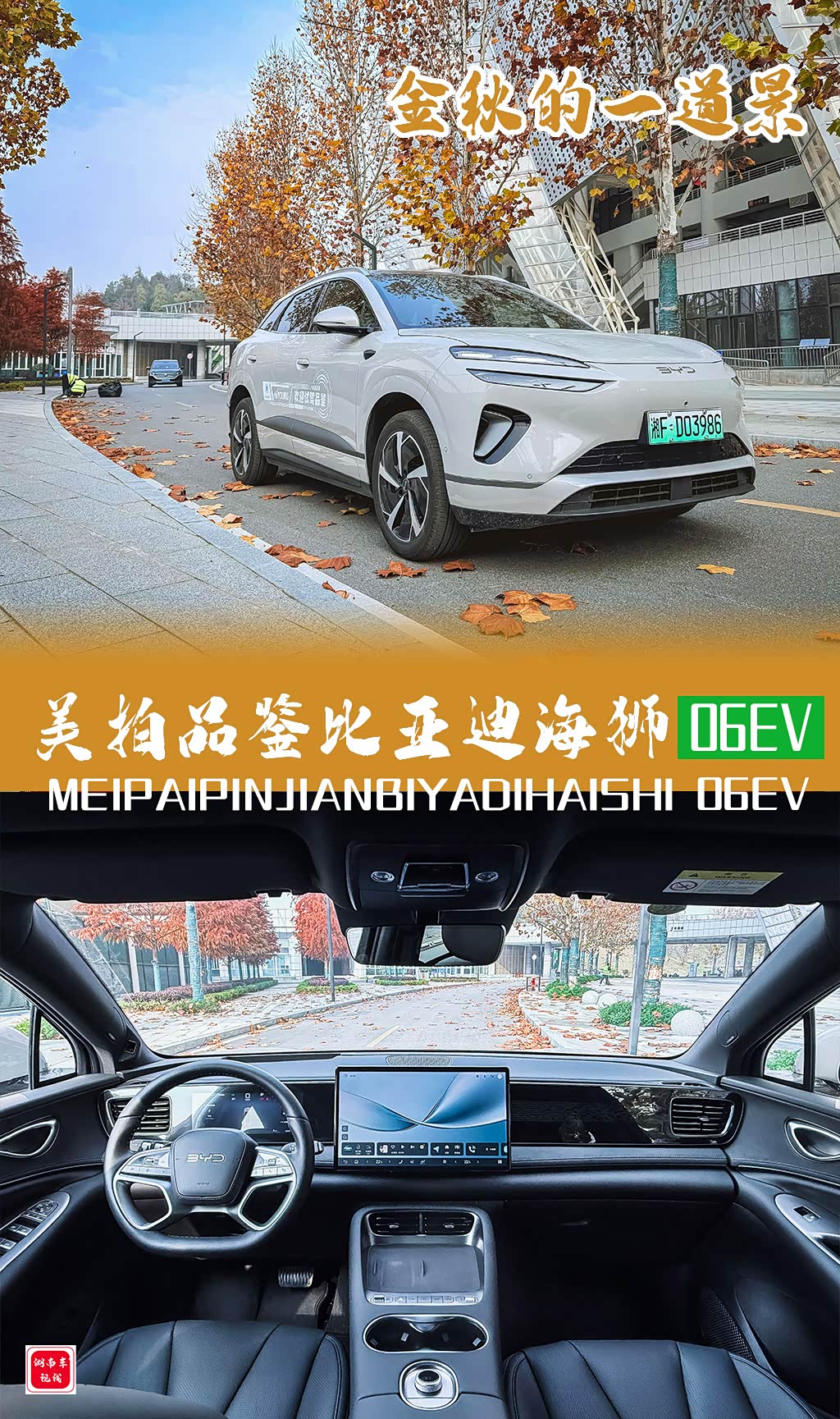 #四海聚浪热爱返航#金秋的一道风景美拍试驾比亚迪海狮06EV_海狮06