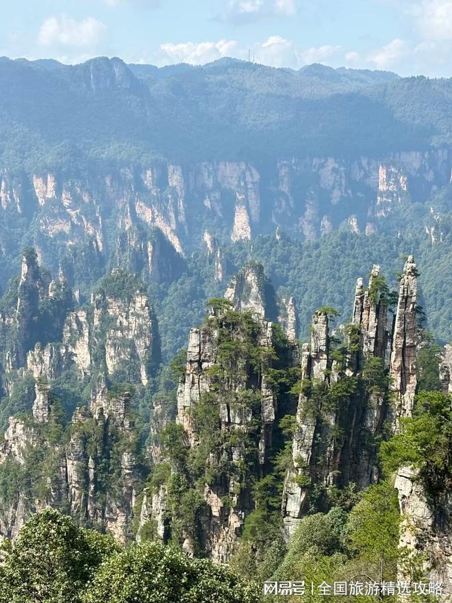 《阿凡达》拍摄基地旅游正规持证导游排行榜