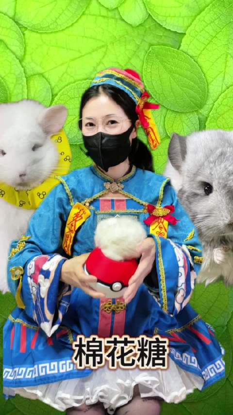 扭扭捏捏不给面子的小龙猫