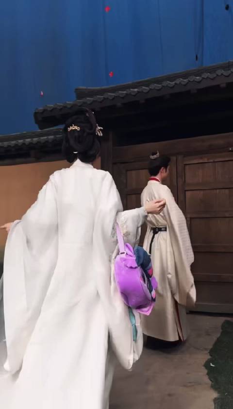 虞书欣张云龙等4部古装宅斗剧待播，权谋复仇引期待
