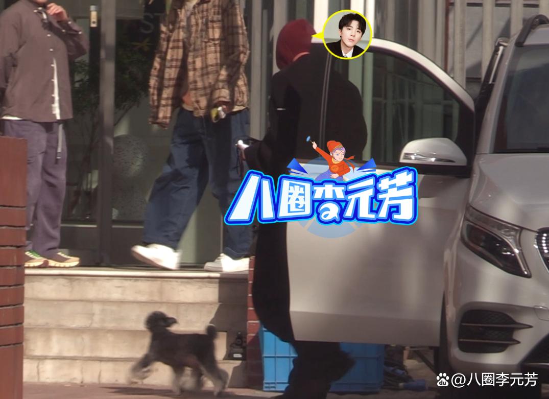 彩排路透引期待 刘宇宁带狗狗出工画面有爱