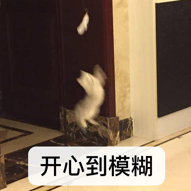 官宣定档!深圳演唱会+8,还有5场即将开票!