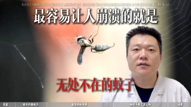 夏季防蚊指南：被咬后处理及预防措施