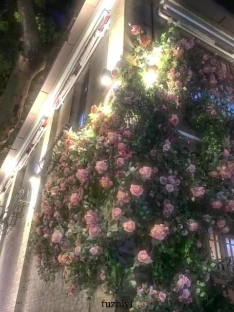 《当幸福来敲门》励志台词：有梦想就要捍卫努力实现
