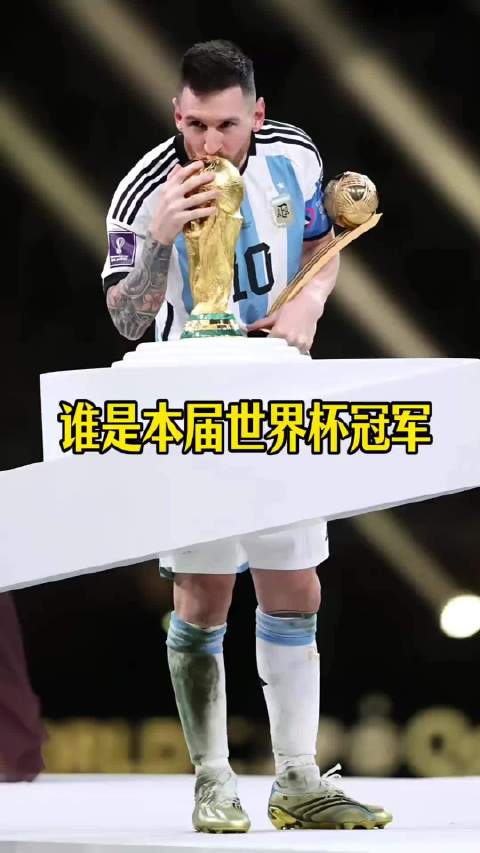 荷兰要是能夺冠，四年后他就是说中国能夺冠我都梭哈