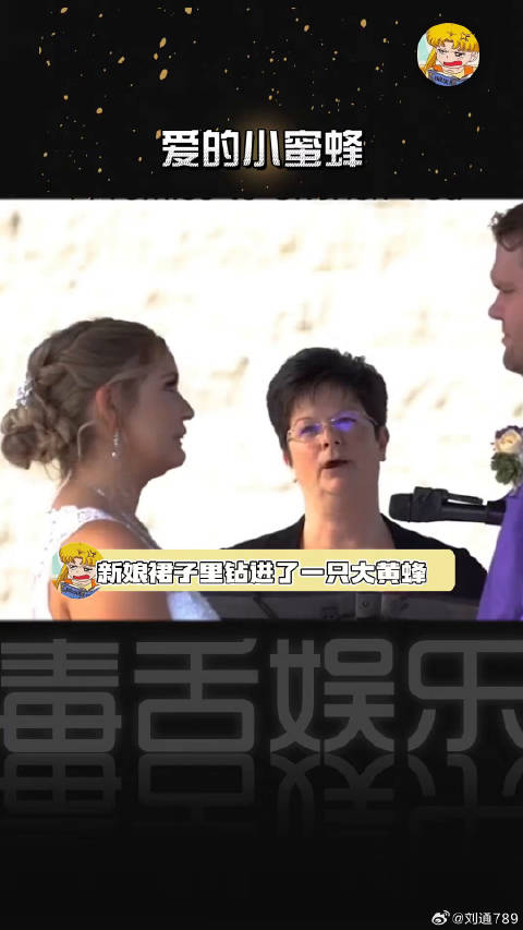大黄蜂：不小心做了爱的见证蜂