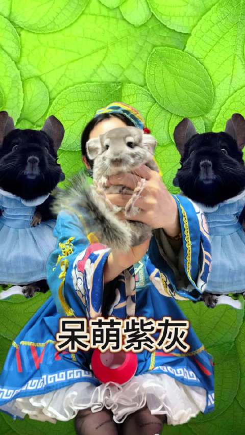 萌萌哒小孩～龙猫成都龙猫谷