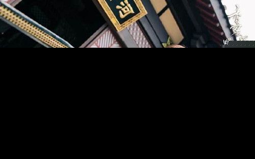 香蜜沉沉烬如霜寰谛凤翎是什么东西 有什么作用