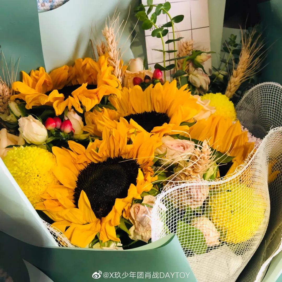 肖战的光影世界