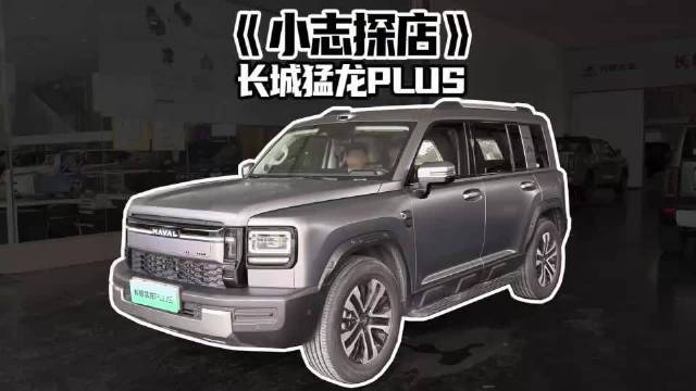 《小志探店》哈弗猛龙PLUS