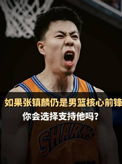 倘若张镇麟继续担纲男篮核心前锋，你是否愿为他倾力助阵？
