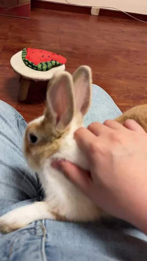 害羞(⸝⸝ᵕᴗᵕ⸝⸝)跑了