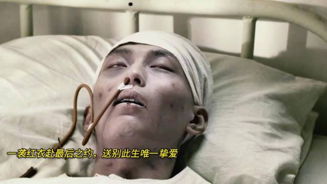 窦骁周冬雨山楂树之恋未同框成经典