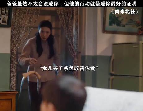 父爱无言，却厚重如山 白敬亭 金晨 丁勇岱