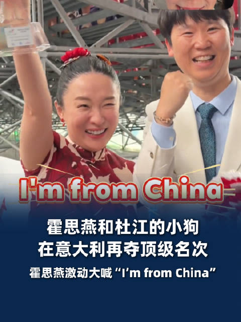 霍思燕杜江又一只小狗在意大利获奖