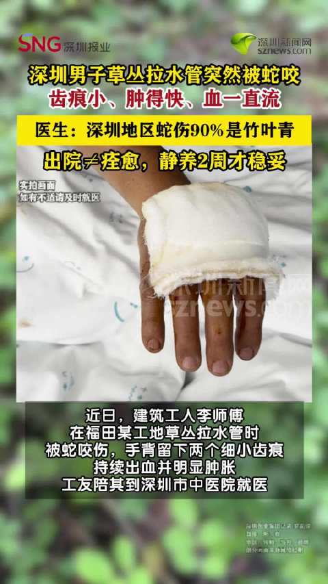 深圳一工人草丛拉水管被竹叶青咬伤送医