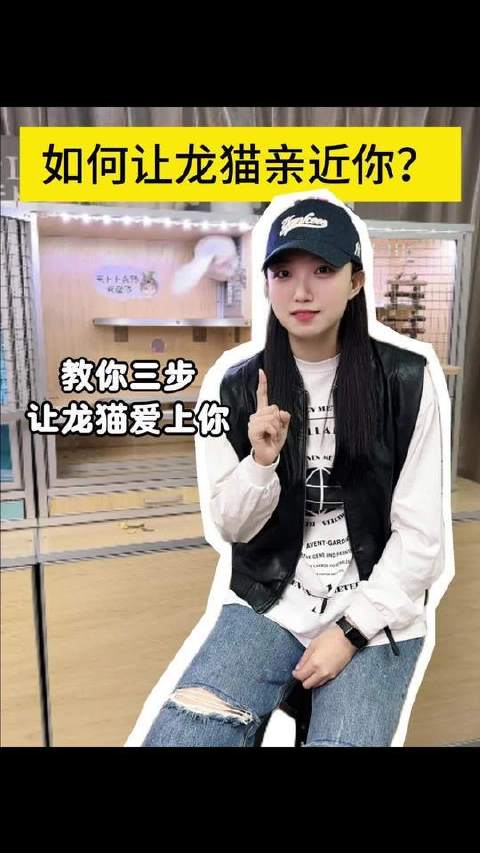 龙猫拒人千里？揭秘驯化亲昵龙猫的秘诀
