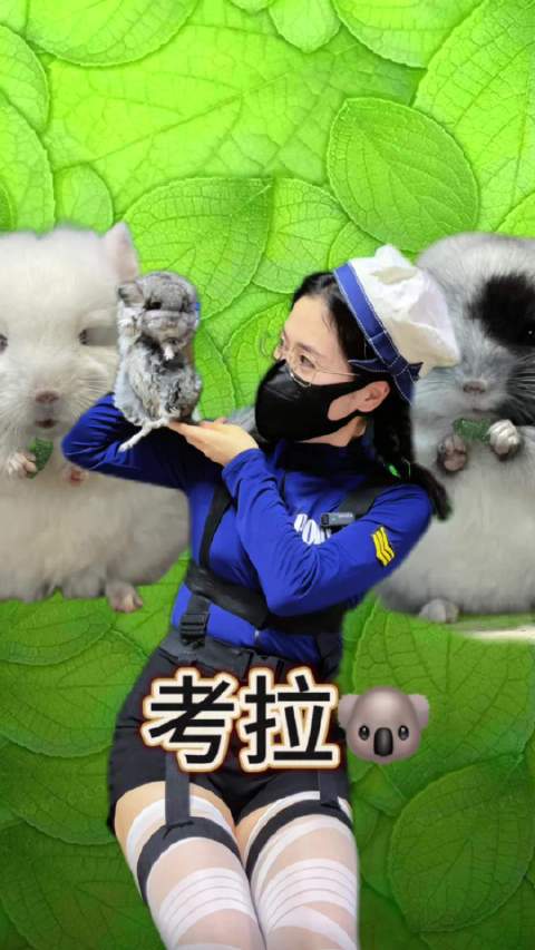 小考拉龙猫～龙猫成都龙猫谷