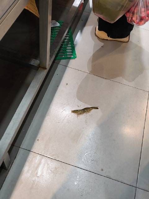 顾客超市抓回越狱大虾