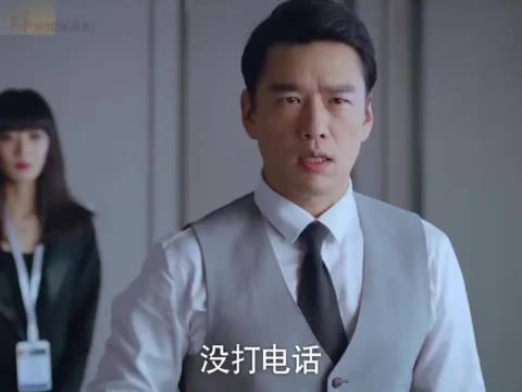 下一站幸福， 城市大叔为爱寻狗的爱情经历！