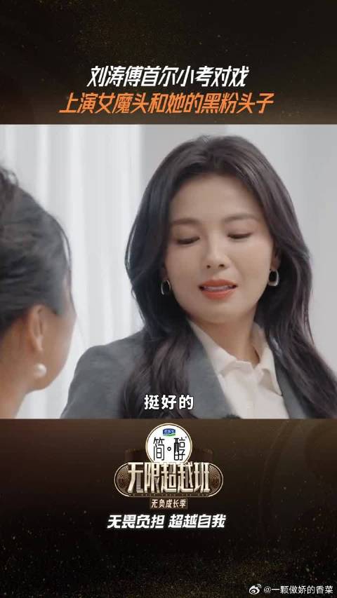 刘涛傅首尔女魔头和她的黑粉头子