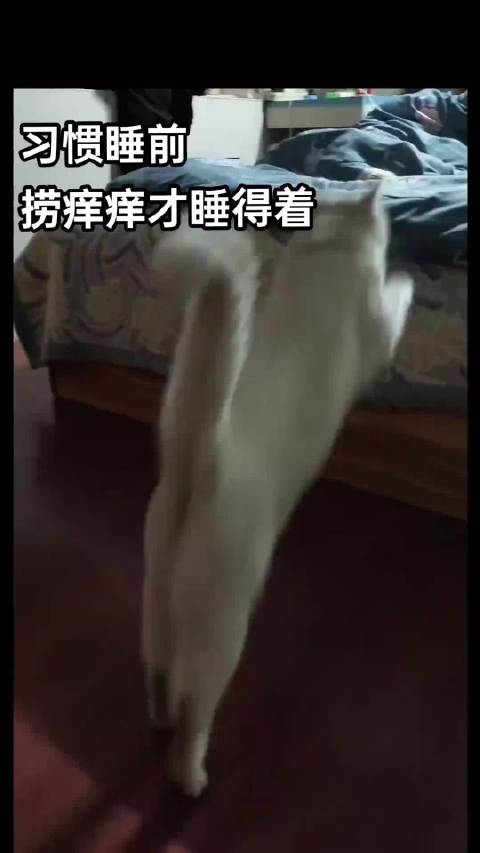 睡觉习惯要捞痒痒