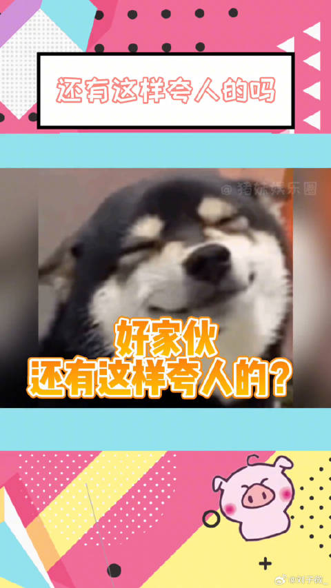 魏翔说马丽白肥美 好家伙，还有这样夸人的？微博VC计划