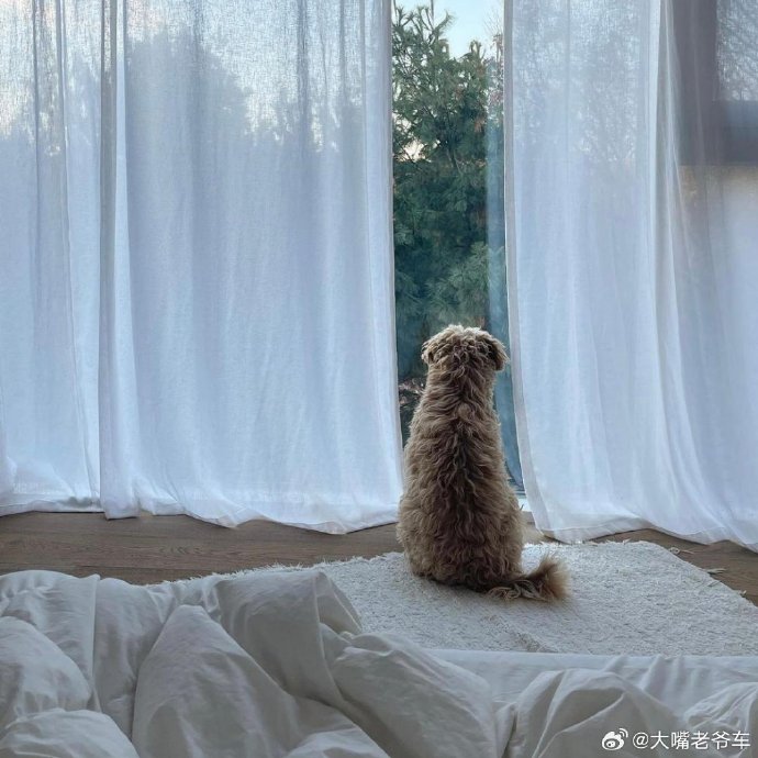徐若晗的长期独居和慢热性格对她交友造成了哪些影响？