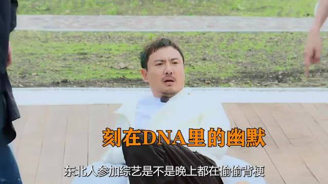 东北人晚上都在被窝偷偷背梗？沈腾一开口魏大勋秒变梗王抖包袱！