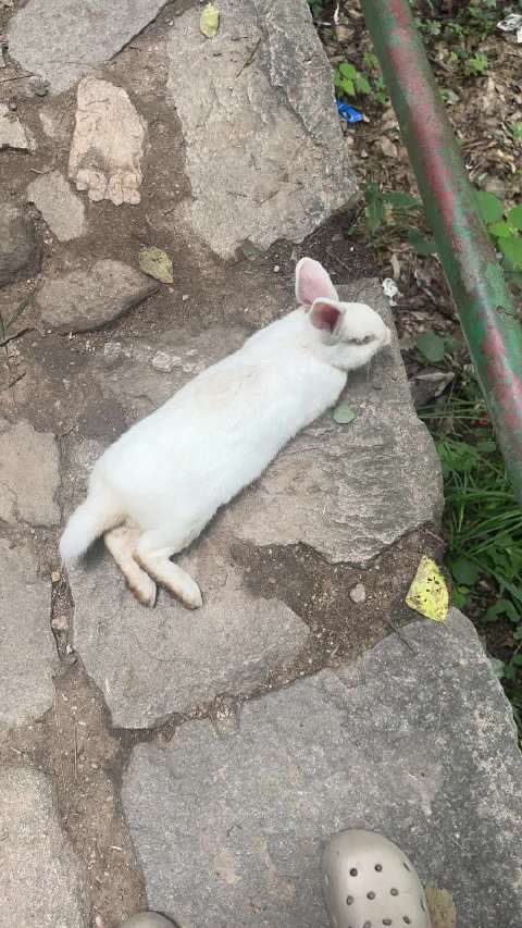 南京