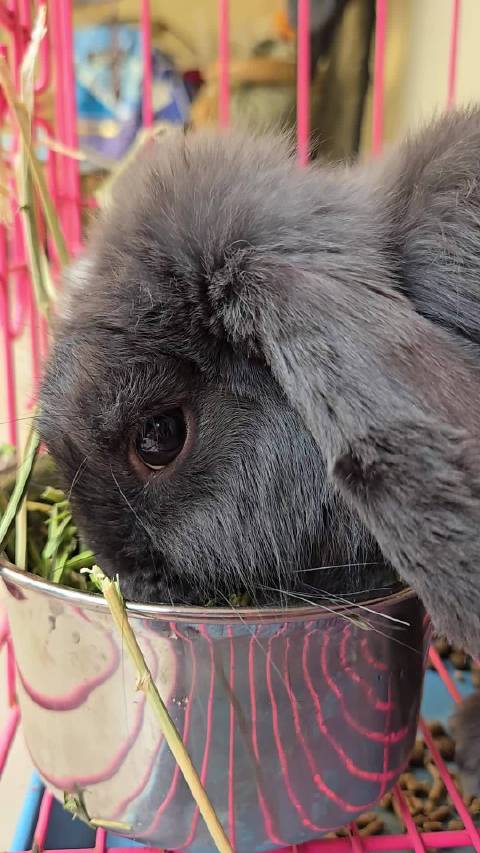住院子就是为了看这些的
