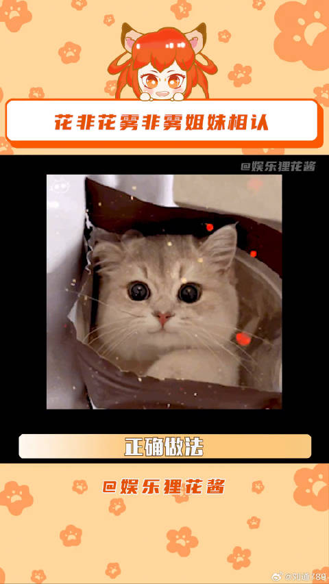小时候到底是谁在看？嘘，是我李晟 万茜 微博VC计划