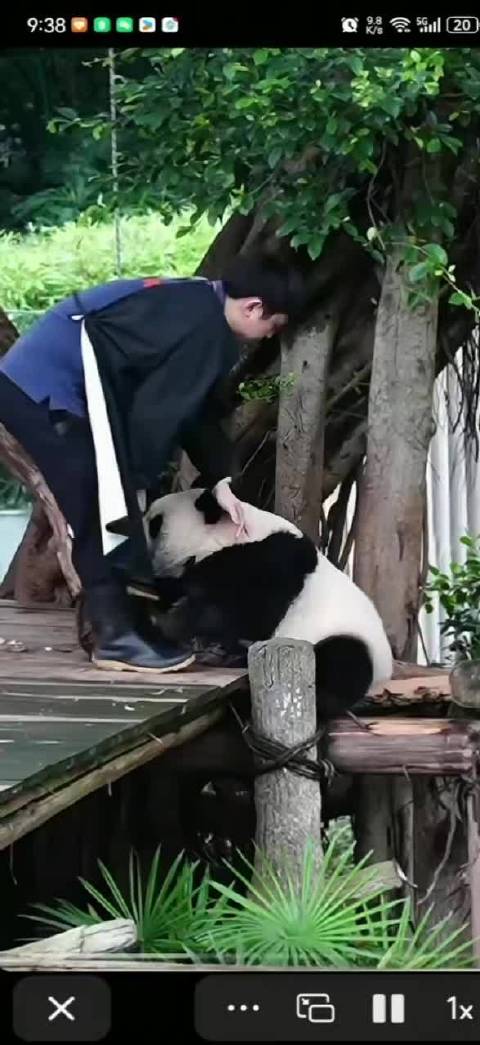 积极生活每一天，让生命之花灿烂绽放