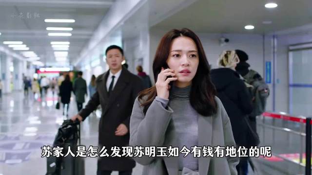 杀出原生家庭，涅槃重生， 都挺好｜姚晨｜深度解析
