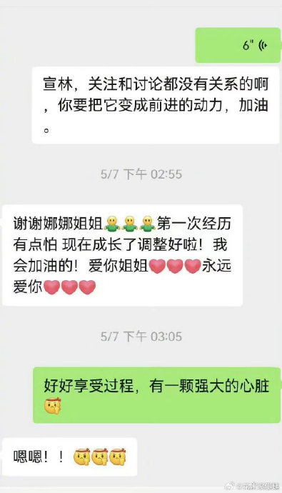 网友们对谢娜晒出与何宣林的聊天记录有哪些不同看法？