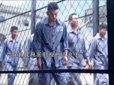 天才囚犯有多牛，看他如何仅凭一只虫子成功完成越狱！