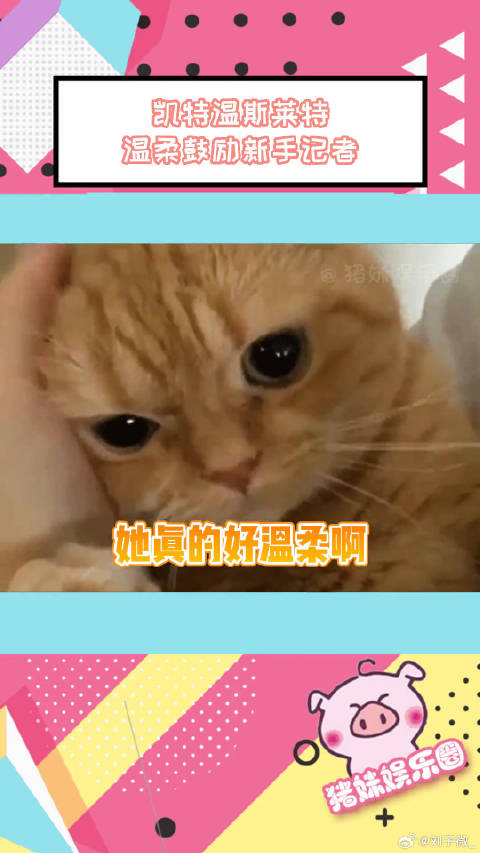 凯特温斯莱特德国宣传阿凡达，温柔对待紧张小记者