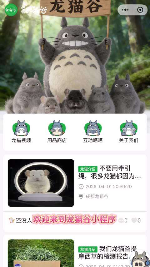 看看你的龙猫叫声什么意思 龙猫语言翻译 龙猫叫声什么意思