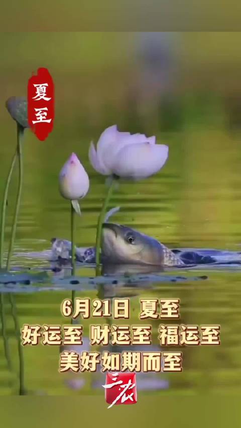 伴着成毅的歌声沐光而行