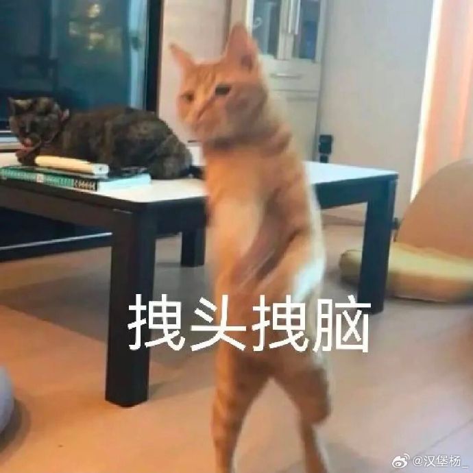 现在买高端燃油车真的是抄底时机吗