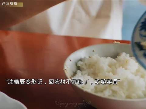 沈皓辰乡下变形后开朗主动，爱上姥姥大锅饭