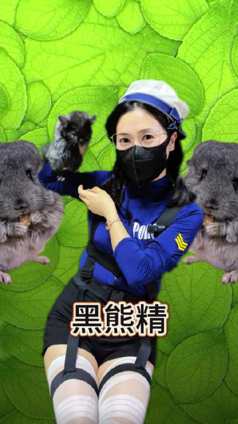 来自四川成都的黑熊精龙猫