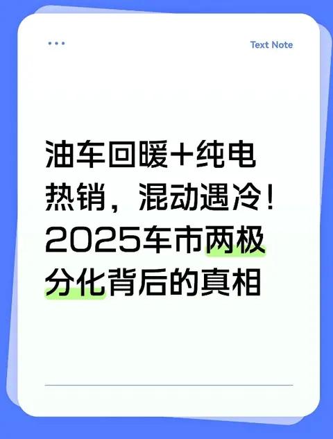 油车回暖+纯电热销，混动遇冷!2025车市两极分化背后的真相