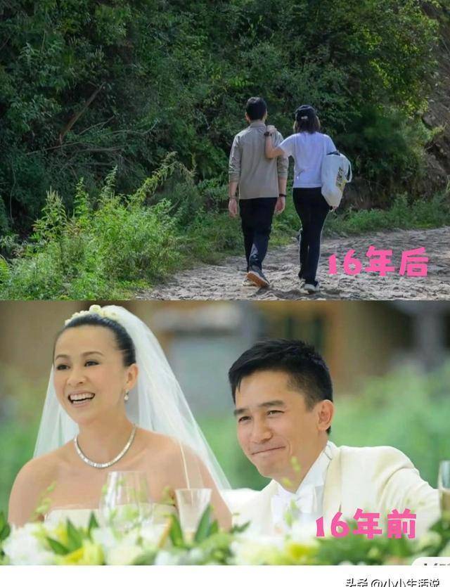 刘嘉玲带社恐影帝苏州祭祖全程隐身,妻子递香鞠躬像照顾小孩!网友吵翻