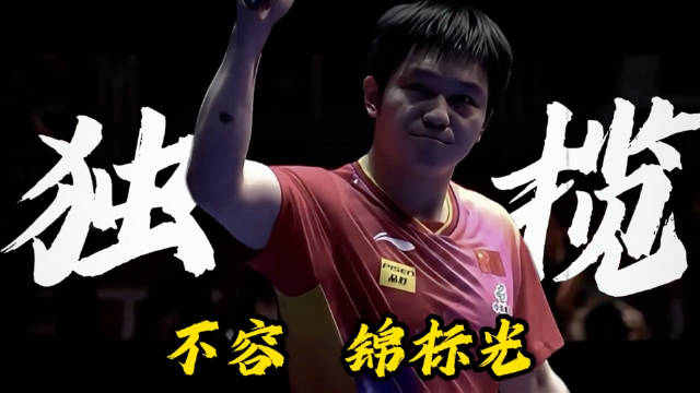 樊振东长期全盘兜底国乒，退排名赴德甲仍顶尖