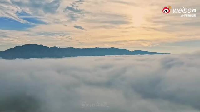 跟随王一博歌声游河南