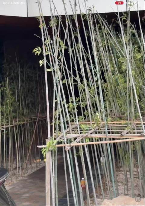周柯宇启程录制推理吧，形象反差引热议