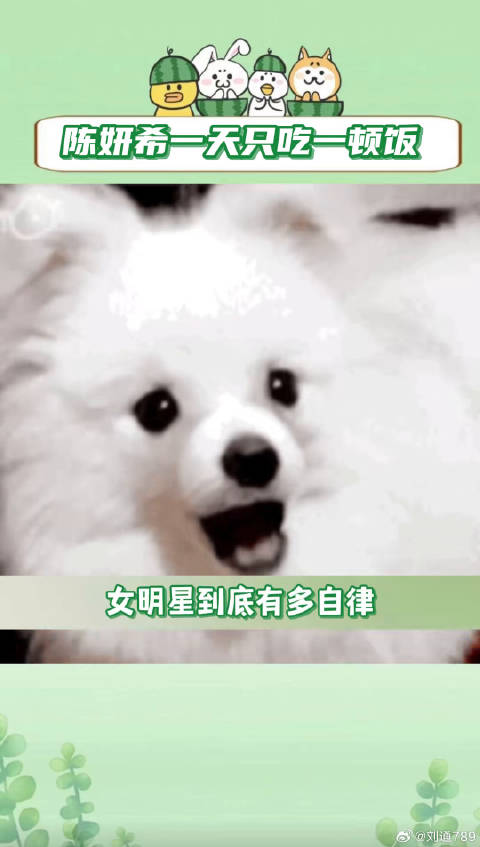 陈妍希 微博VC计划