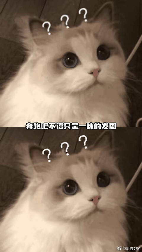 奔跑吧 张真源 微博VC计划