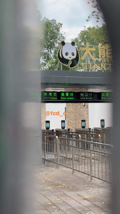 我们的胖仔仔在哪里啊
